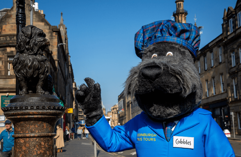 Cobbles with Greyfriars Bobby