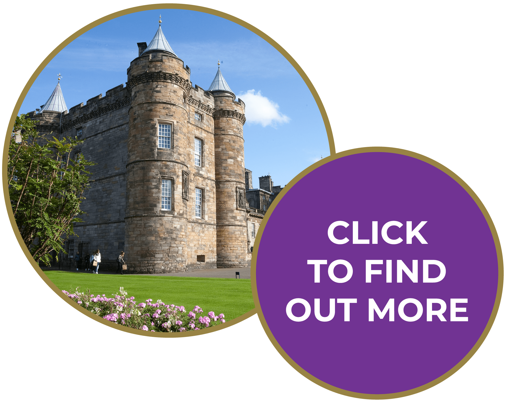 Edinburgh Bus Tours official hop onhop off guided tours Discover